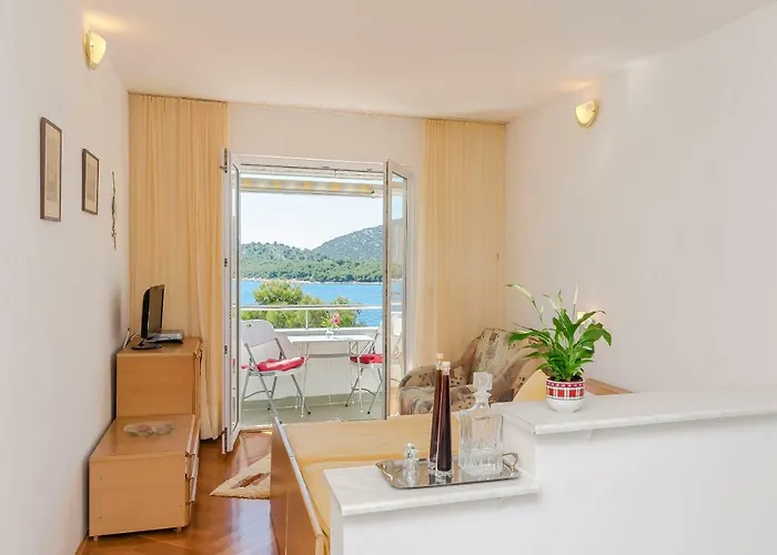 Vlasta Appartement *